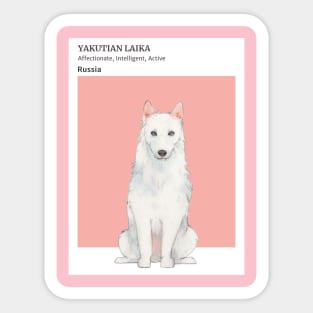 Yakutian Laika Sticker